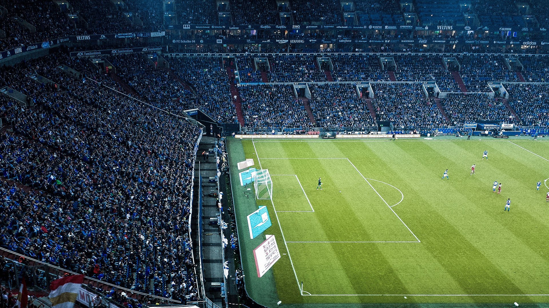 未来继续闪耀：新秀连续爆发，期待无限！，未来的新秀